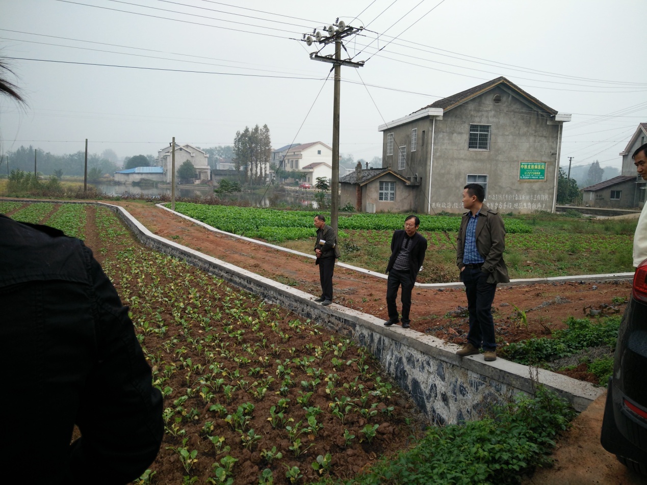 參觀翰林村黨建促發(fā)展工程之機(jī)耕道建設(shè).jpg